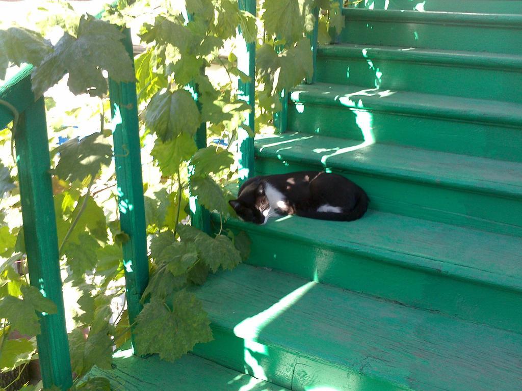 Green Stairs Guest House Tbilisi Eksteriør billede