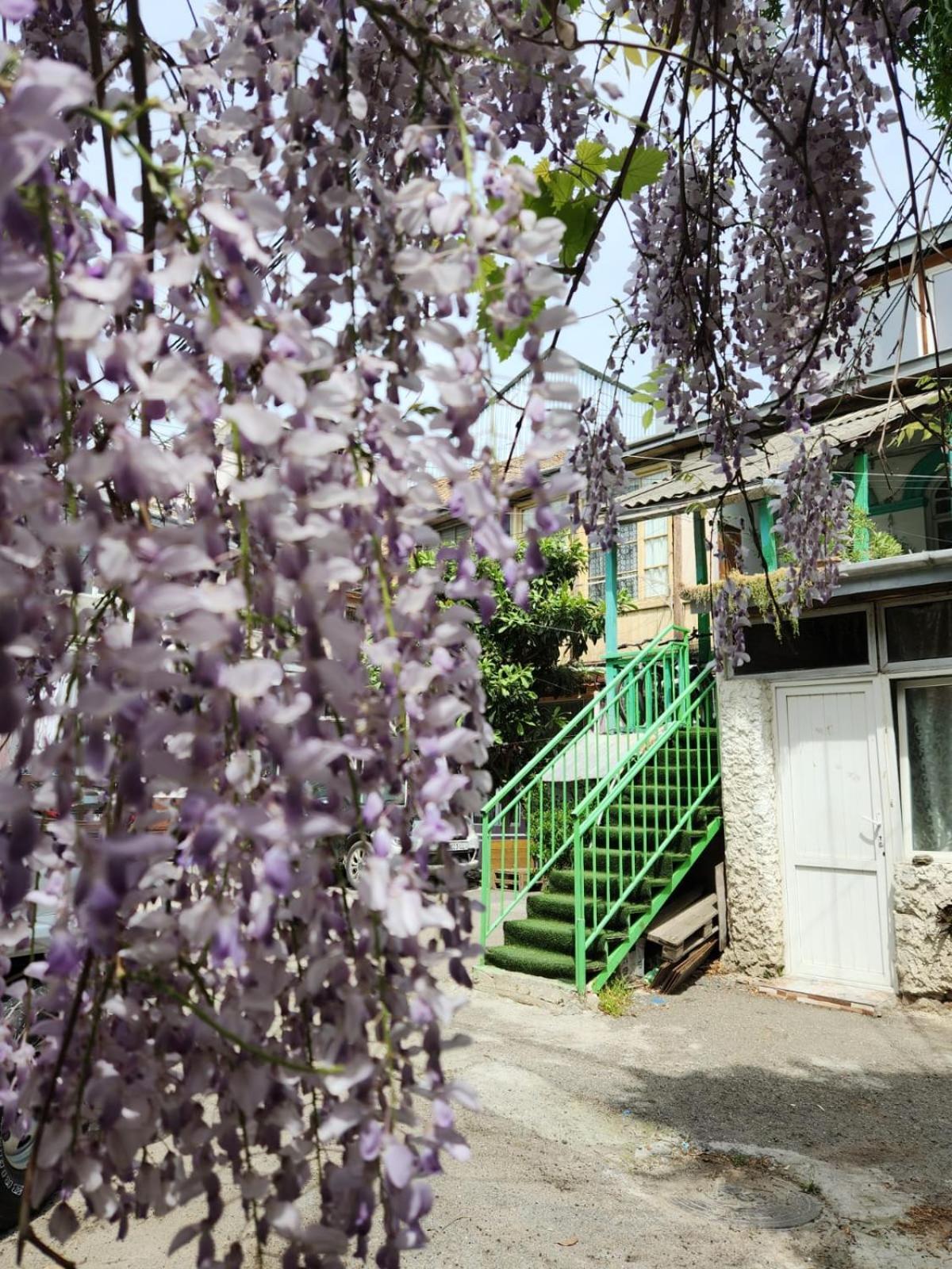 Green Stairs Guest House Tbilisi Eksteriør billede