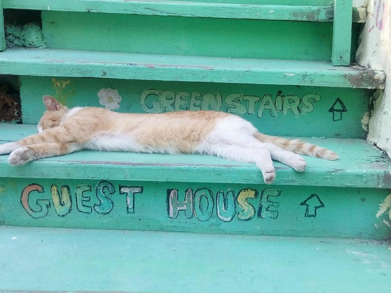 Green Stairs Guest House Tbilisi Eksteriør billede